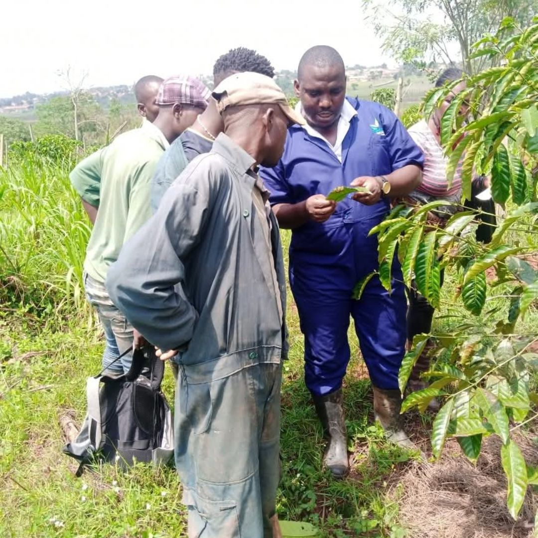 Jumafarm on-farm visits